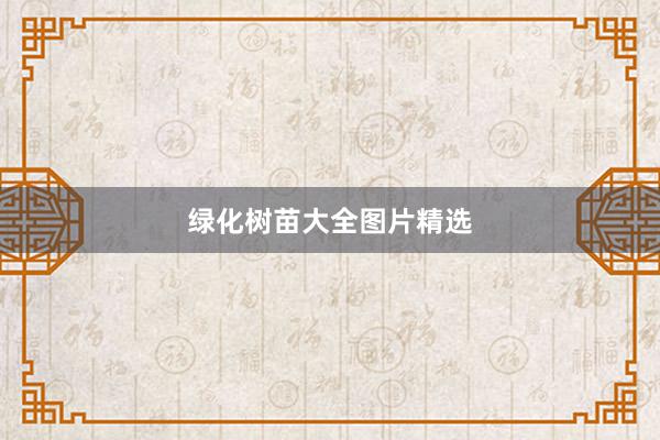绿化树苗大全图片精选