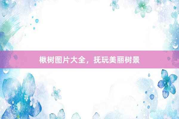 楸树图片大全，抚玩美丽树景