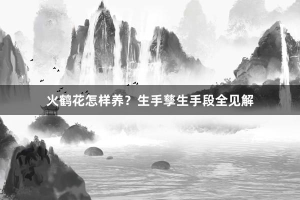 火鹤花怎样养？生手孳生手段全见解